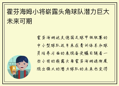 霍芬海姆小将崭露头角球队潜力巨大未来可期