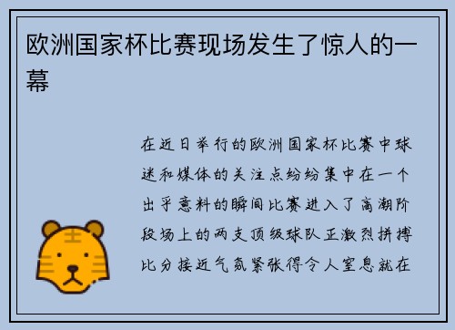 欧洲国家杯比赛现场发生了惊人的一幕